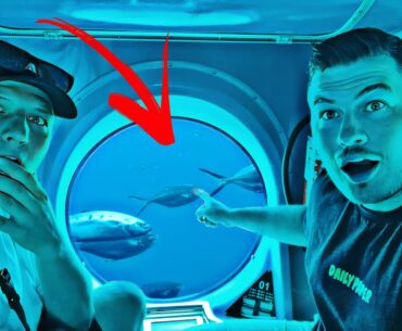 Angler suchen Fische mit dem U-BOOT!?