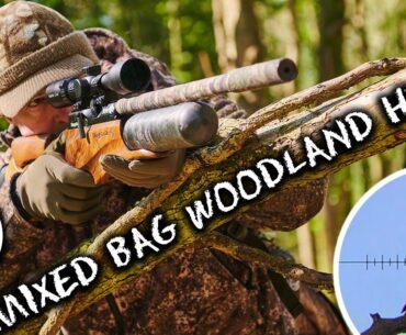 Airgun Action | Squirrel, pigeon & crow woodland hunting | Hammerli Hunter Force 900 Combo review