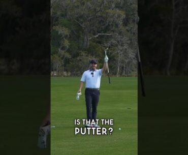 50 YARD PUTT?!! 😮 #shorts #golf