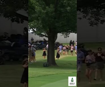 Unbelievable Break at Charles Schwab Challenge: Emiliano Grillo's Incredible Fairway Escape #Shorts