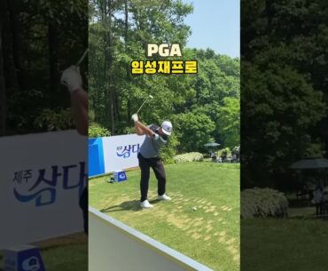 임성재 프로 한국에서 직관 하면?? #golf #골프 #골프스윙 #golfswing