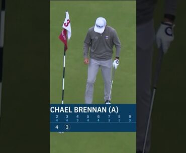 Michael Brennan showcasing insane creativity around the green 🤯 #USOpen #Golf