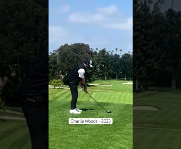 Thoughts on the 2023 Charlie Woods swing? #golf #charliewoods #tigerwoods