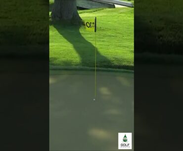 Adam Scott's Incredible Shot  This Close to an Eagle at the PGA Championship #Shorts