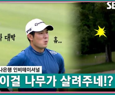 [2023 KPGA] 완벽한 미스샷이 나무에 맞고..? 큰 행운이 따라준 나카지마 케이타_하나은행 FR