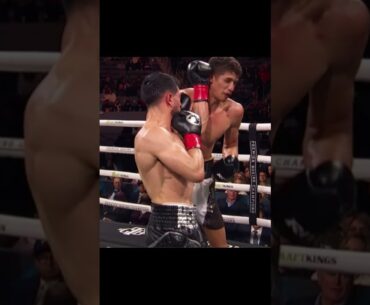 Brian "La Bala" Mendoza Vs Sebastián "La Torre Infernal" Fundora - Video Game Mode #boxeo #boxing