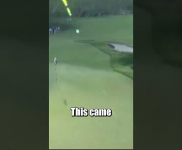 Scottie Scheffler Insane EAGLE (US Open)