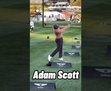 Adam Scott vs Justin Rose