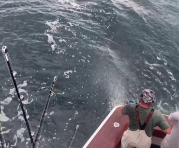 Day 2 - EMERALD COAST BLUE MARLIN CLASSIC - PRE SHOW - 2023 Sport Fishing Championship