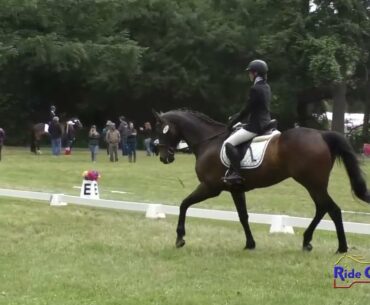 262D Stella Harris on Fabio JR Beginner Novice Dressage Aspen Farms June 2023