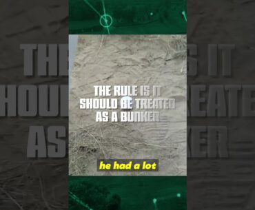 8 Biggest Golf Rule Controversies Of All Time Part 8! #shorts