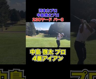 中島啓太プロ、河本力プロ スイング#shorts