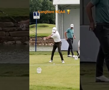 Cole Hammer Driver Swing #pgatour #golf '23