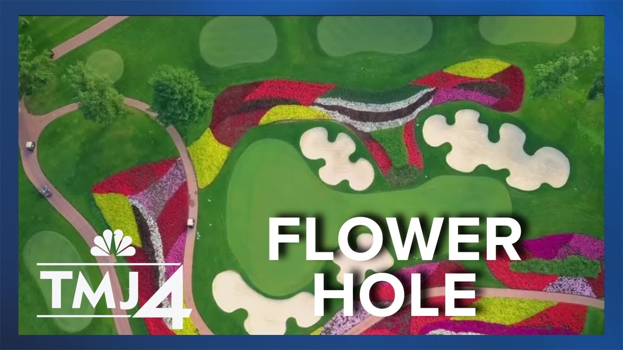 Behind the ‘Flower Hole’ at SentryWorld for the U.S. Senior Open Behind the 'Flower Hole' at SentryWorld for the U.S. Senior Open