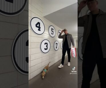 In our Taylor Swift era ✨