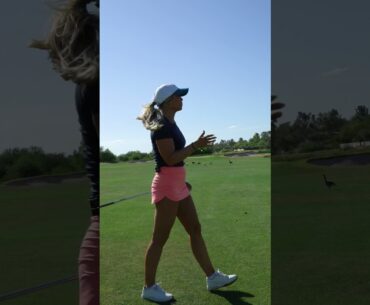 Can I Golf With ONLY My Wedges and Putter??