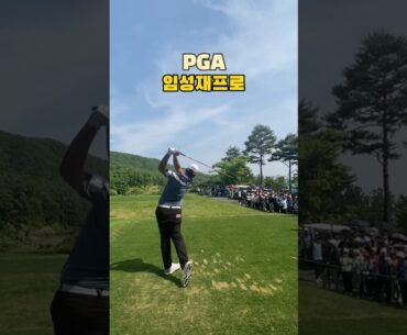 PGA 임성재프로 우드 티샷 ⛳️ KPGA 우리금융 챔피언십 SUNGJAE LIM long drive swing🚀 #golfswing