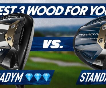 Paradym 3 Wood TD vs Paradym Standard \ World of Wunder