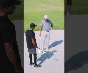 Tiger Woods And Scottie Scheffler： Which Club Do You Hit Out Of Bunkers？ ｜ TaylorMade Golf #shorts