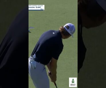 Golf Glove Dilemma  Sam Burns' Back Pocket or Belt Tuck When Putting #Shorts