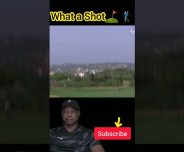 What great Golf Shot #sports #golf