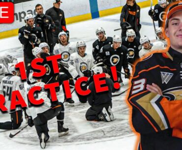Leo Carlsson's 1st Practice as an Anaheim Duck! (LIVE from 2023 Rookie Camp - Day 1)
