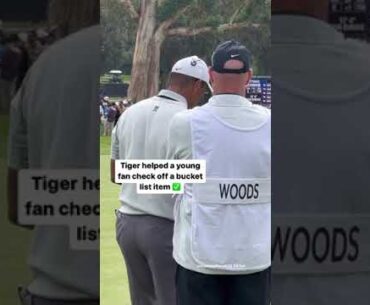 Priceless Tiger moment ❤️