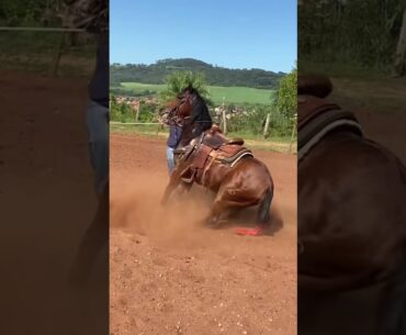 Tiaozao bruto memo #riding #cowboy #cavalo