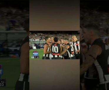 Geelong Collingwood Fight