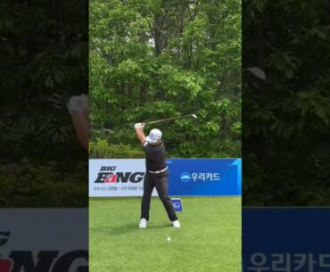 임성재프로 드라이버스윙 #임성재프로