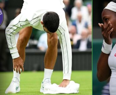 Wimbledon Day 1: Djokovic Cruises, Coco Loses | Daily Slice