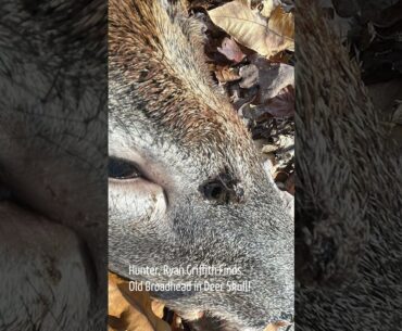 You Won't Believe What Hunter Ryan Griffith Discovered in a Deer Skull!