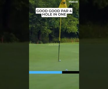 GOOD GOOD HOLE IN ONE 🤯⛳️