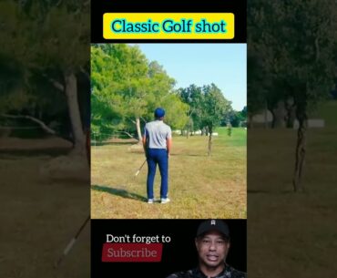 Classical Golf Shot #shorts #golf