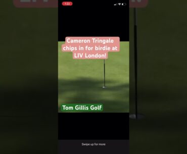 Cameron Tringale chips one in at LIV Golf!! #camerontringale #livgolf #golf