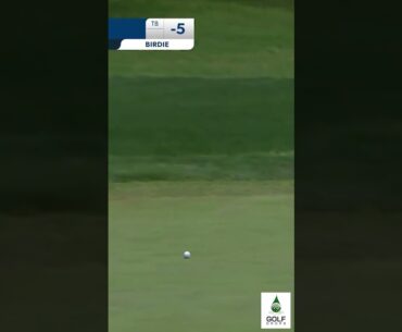 Here Comes Sam Burns The Defending Champ Makes a Move at the Charles Schwab Challenge #Shorts
