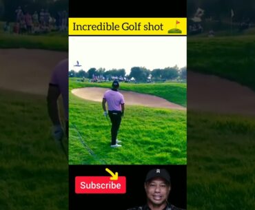 Golf Chipping Incredible | #sports #shorts
