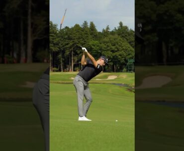 The action of Rasmus Hojgaard 🤌