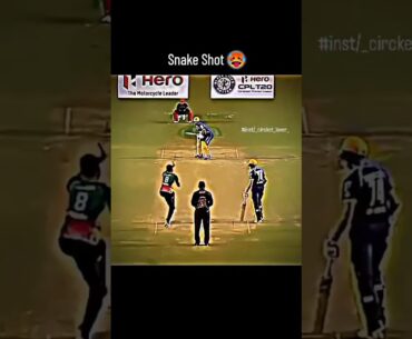 RASHID KHAN SNAKE 🐍 SHOT