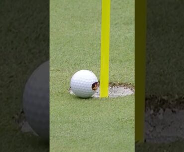 Jack Nicklaus' grandson, Gray Nicklaus Makes a hole in #golf #golfswing
