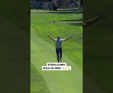 Steph Curry Hole In One #golf #golfer #golfswing #teetime