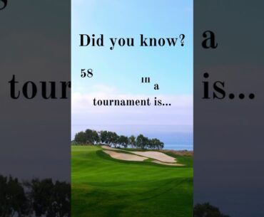 Fastest Golf Hole Ever Played?