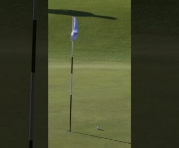 2010 Open Champion, Louis Oosthuizen with a great chip into the 18th at the Old Course #dunhilllinks