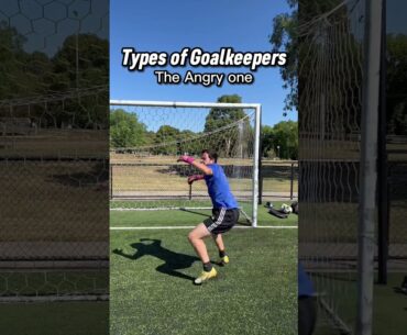 Types of Goalkeepers 🔥