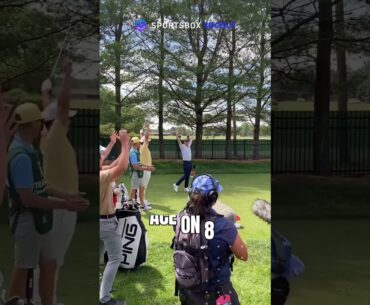 Rory McIlroy's first hole-in-one in 3D | Sportsbox AI