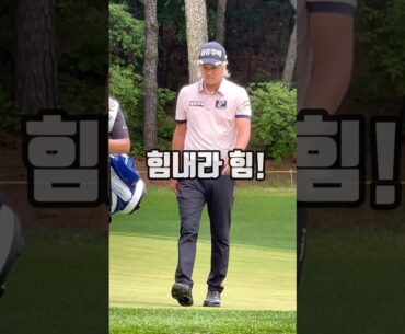 늘 웃는 모습만 보다 처음 보는 #허인회 프로 낙담한 모습. #golf #매경오픈 #남서울cc #shorts