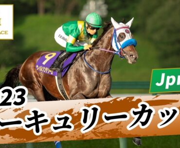 2023年 マーキュリーカップJpnIII｜第27回｜NAR公式