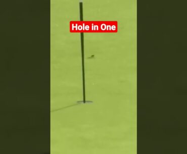 Great Golf shot | Hole in One| Golf Swing| #shorts
