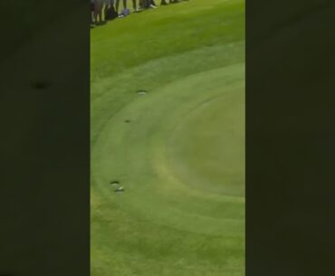 Tommy Fleetwood's AMAZING sprinkler break! 😱