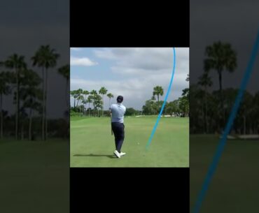 Matt Jones マット・ジョーンズ